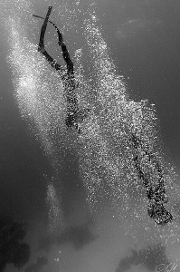 ..in bubbles by Veronika Matějková 